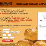 Pretzel Maker Survey
