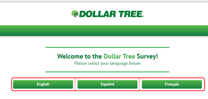 dollar tree survey language