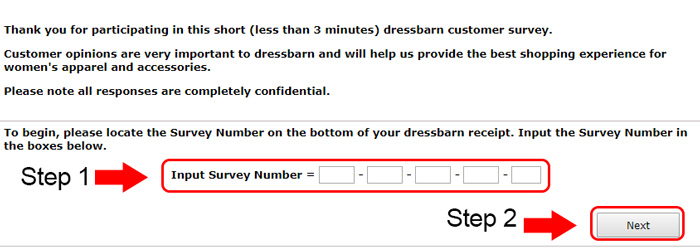 dressbarn survey code