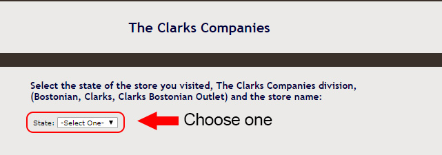 clarks customer survey