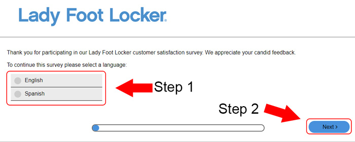 lady foot locker survey language